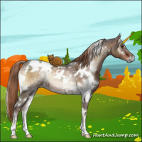 Horse Color:White Spotted Liver Red Onyx Ice Rabicano Brindle 