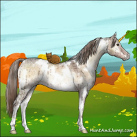 Horse Color:White Spotted Liver Red Dun Ice Onyx Rabicano Brindle 