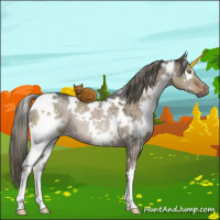 Horse Color:White Spotted Liver Red Dun Mushroom Rabicano Brindle 