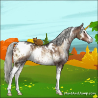 Horse Color:White Spotted Liver Red Onyx Mushroom Rabicano