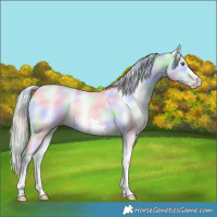 Horse Color:Nacre Silver Classic Champagne Chinchilla Dun Sabino 