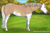 Horse Color:Silver Bay Roan Dun Splash 