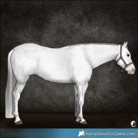 Horse Color:Platinum Brown Roan Dun Tobiano Near Leopard 