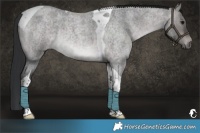 Horse Color:Platinum Brown Roan Dun Tobiano 