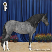 Horse Color:Blue Roan 