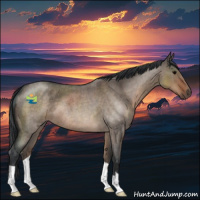 Horse Color:Brown Roan Dun 