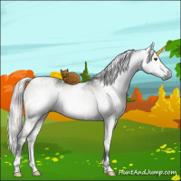 Horse Color:Gray White Spotted Silver Brown Dun Brindle 