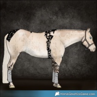 Horse Color:Void Chocolate Palomino Pearl Dun Tobiano Rabicano Brindle 
