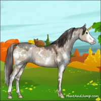 Horse Color:White Spotted Liver Red Dun Ice Sabino Brindle