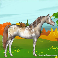 Horse Color:White Spotted Liver Red Dun Onyx Brindle 