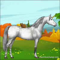 Horse Color:Gray White Spotted Smoky Grullo Ice Mushroom Sabino Brindle 