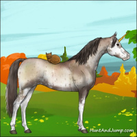 Horse Color:Blue Onyx Pearl Mushroom Sabino 