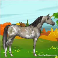 Horse Color:White Spotted Smoky Grullo Ice Mushroom Brindle