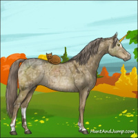 Horse Color:Chocolate Palomino Ice Dun Mushroom Sabino Brindle 