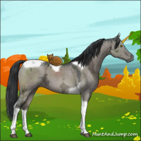 Horse Color:Grullo Ice Tobiano 