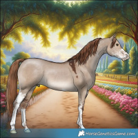 Horse Color:Liver Red Dun Sabino 