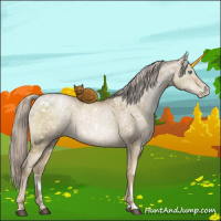 Horse Color:White Spotted Chocolate Palomino Ice Pearl Dun Sabino Brindle 