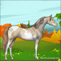 Horse Color:Liver Red Dun Pearl Tobiano Brindle 