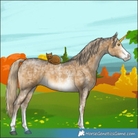 Horse Color:Chocolate Palomino Ice Dun Sabino Brindle 