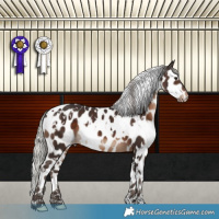 Horse Color:White Spotted Silver Brown Leopard 