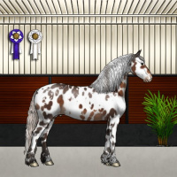 Horse Color:White Spotted Silver Brown Appaloosa 