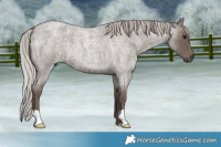Horse Color:Silver Blue Roan Mushroom 