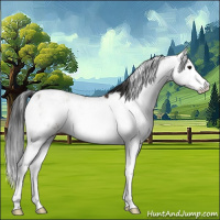 Horse Color:Brown Dun Sabino Appaloosa 
