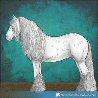 Horse Color:White Spotted Silver Brown Sabino Splash 