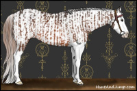 Horse Color:Bay Splash and Red Dun Splash