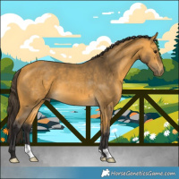 Horse Color:Buckskin 