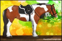 Horse Color:Brown Tobiano 