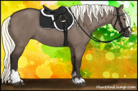 Horse Color:Liver Red Dun Mushroom Sabino Rabicano 