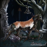 Horse Color:White Spotted Bay Sabino 