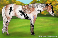 Horse Color:White Spotted Silver Bay Sabino Splash 