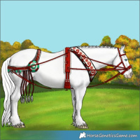 Horse Color:Silver Perlino Dun