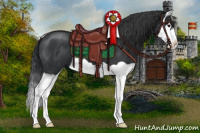 Horse Color:Black Splash