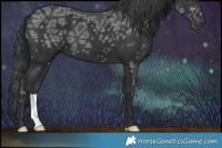 Horse Color:Black Ice 