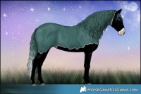Horse Color:Watercolor Black Splash 