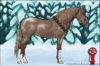 Horse Color:Liver Red Dun