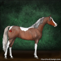 Horse Color:Silver Brown Roan Splash Tobiano 