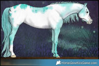 Horse Color:Watercolor Brown Frame Appaloosa 
