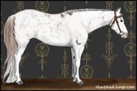 Horse Color:Chestnut Sabino Splash 