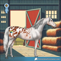 Horse Color:Silver Brown Appaloosa 