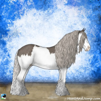 Horse Color:Silver Black Splash 