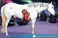 Horse Color:White Spotted Buckskin Ice Dun Appaloosa 