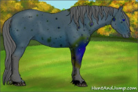 Horse Color:ERROR: UNKNOWN ANOMALY