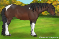Horse Color:Brown Tobiano 
