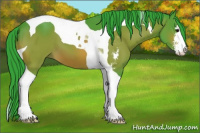 Horse Color:Watercolor Brown Sabino Tobiano 