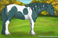 Horse Color:Watercolor Black Tobiano 
