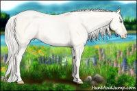 Horse Color:Gold Cream Champagne Pearl